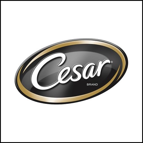 CESAR