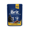 BRIT Premium Cat with Chicken & Turkey 24 x 100g