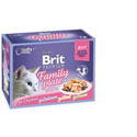 BRIT Premium Cat vrecko želé pre mačky, mix príchutí vlhké krmivo pre dospelé mačky 12x 85 g