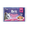 BRIT Premium Fillet mix príchutí v želé pre mačky 52x 85 g