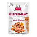 BRIT Care filety v slanej omáčke z lososa 24x 85 g filétov z lososa v omáčke