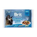 BRIT Premium Gravy kapsičky v omáčke pre mačky, mix príchutí 52x 85 g