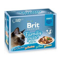 BRIT Premium Gravy Family kapsičky v omáčke pre dospelé mačky mix príchutí 48x 85 g
