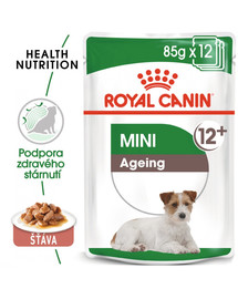 ROYAL CANIN Mini ageing 12+ 12x85g kapsuly pre malé, staršie psy