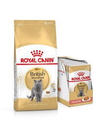 ROYAL CANIN British Shorthair 10 kg + British Shorthair kapsičky 12x85 g
