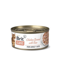 BRIT Care Cat Pate 24 plechoviek 70 g