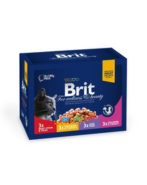 Sada vrecúšok BRIT Premium Cat Family Plate 100 g