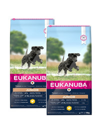 EUKANUBA Developing Junior Large Breed 2 x 15 kg