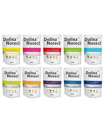 DOLINA NOTECI Premium Mix príchuť 20ks x500g
