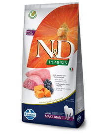 N&D Pumpkin Dog Adult Giant Lamb & Blueberry 12 kg