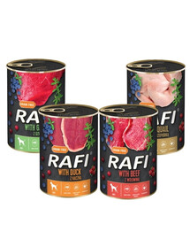 DOLINA NOTECI Rafi Premium Mix príchutí 24x400g