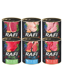 DOLINA NOTECI Rafi Premium Mix příchutí 24x800g
