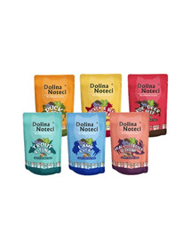 DOLINA NOTECI Superfood mix príchute 24x85 g