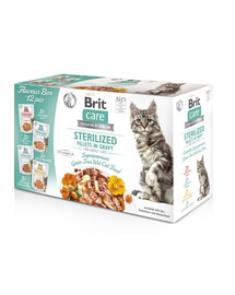 BRIT CARE Fillets in Gravy Box Pouch Sterilized 12x85g