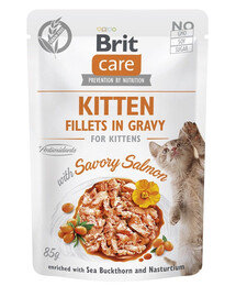 BRIT CARE Fillets in Gravy Pouch Kitten Savory Salmon 24x85g