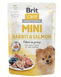 BRIT CARE Mini Adult Pouch Rabbit&Salmon 24x85g