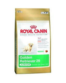 ROYAL CANIN Golden retriever junior granule pre šteňatá zlatého retrievera 1 kg