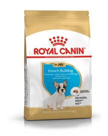 Royal Canin French Bulldog Puppy 3 kg granule pre mladé francúzske buldočky