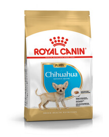 Royal Canin Chihuahua Puppy 500g - granule pre šteňatá čivav a mladých psov