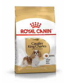  Royal Canin Adult Cavalier King Charles Spaniel 1,5 kg granule pre psov starších ako 10 mesiacov