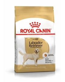Royal Canin Adult Labrador Retriever granule pre labradory staršie ako 15 mesiacov, 12 kg