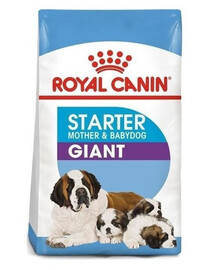 Royal Canin Giant Starter Mother & Baby Dog 15 kg granule pre gravidné a dojčiace suky a šteňatá