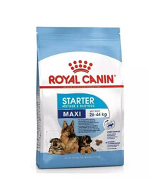 Royal Canin SHN Maxi Starter Mother & Baby Dog granule pre gravidné sučky a šteňatá veľkých plemien 4 kg