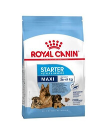 Royal Canin Maxi Starter Mother & Babydog 15 kg granule pre sučky a šteňatá