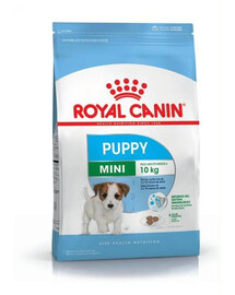 Royal Canin Mini Puppy krmivo pre šteňatá malých plemien vo veku 2-10 mesiacov 0,8 kg