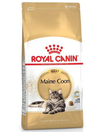 Royal Canin Adult Maine Coon 4 kg - granule pro dospělé kočky