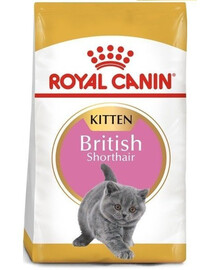 Royal Canin British Shorthair Kitten granule pre britské krátkosrsté mačiatka 0,4 kg