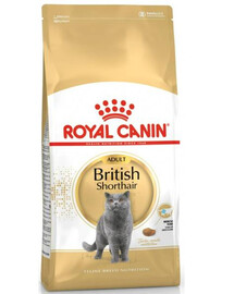 Royal Canin British Shorthair Adult 4 kg granule pre dospelé krátkosrsté mačky