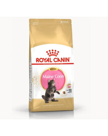 Royal Canin Kitten Maine Coon granule pre mačiatka 4 kg
