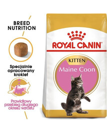 Royal Canin Maine Coon Kitten 0,4 kg granule pre mainské mývalie mačiatka