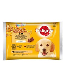 Pedigree Junior 4x100 g kapsičky pre mladých psov (s hovädzím a kuracím mäsom)