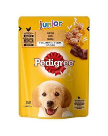 PEDIGREE Junior 24x 100 g krmivo pre psov