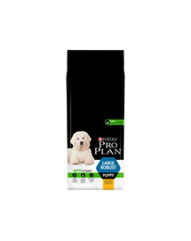 Purina Pro Plan Large Robust Puppy - Kuracie a ryžové granule pre veľkých psov 12 kg