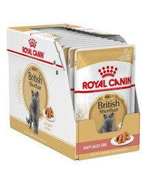 Royal Canin Adult British Shorthair 12 x 85g - vlhké krmivo pre dospelé britské krátkosrsté mačky v omáčke 12x85g