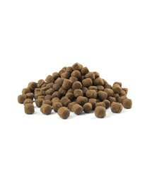 Versele - Laga Opti Life Senior 2,5 kg - granule pro starší psy