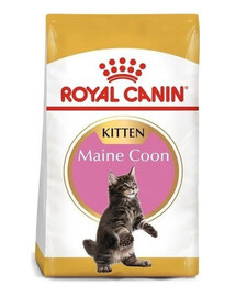 Royal Canin Maine Coon Kitten granule pre Maine Coon mačiatka 10 kg