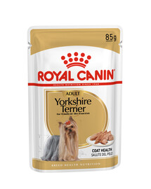 ROYAL CANIN Yorkshire Terrier Adult mokré krmivo - paštéta, pre dospelé yorkshire teriéry 12x85g