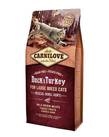 Carnilove For Large Breed Cats Muscles, Bones Joints Duck & Turkey 6 kg - granule pro kočky velkých plemen s kachním a krůtím masem 6 kg