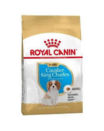 Royal Canin Puppy Cavalier King Charles Spaniel 1,5 kg granule pre psov do 10 mesiacov