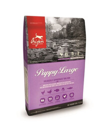 Orijen Puppy Large 6 kg - granule pro štěňata velkých plemen