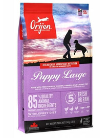 Orijen Puppy Large 11,4 kg granule pre šteňatá veľkých plemien 11,4 kg