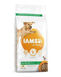 IAMS ProActive Health pre dospelých psov veľkých plemien s kuracím mäsom 3 kg