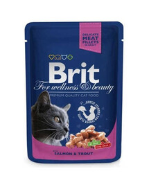 Brit For Wellness & Beauty Salmon & Trout 100g - Losos a pstruh - vlhké krmivo pro kočky