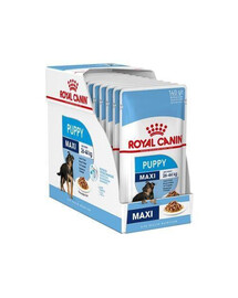 ROYAL CANIN Maxi Puppy kapsičky v omáčke pre šteňatá do 15 mesiacov, veľké plemená 10x 140 g