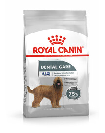 Royal Canin Dental Care Maxi 3 kg - suché krmivo pro dospělé psy, velká plemena se sklonem k citlivosti zubů 3kg