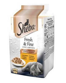 SHEBA Fresh & Fine mokré krmivo pre mačky v omáčke s kuracím mäsom, s hydinou, s morčacím 72x 50 g